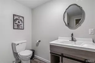 416 Trevor Ct, Bonne Terre, MO 63628 - Photo 72