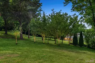 9211 Old Bonhomme Rd, Olivette, MO 63132 - Photo 32