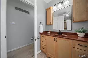 2835 McNair Ave, Saint Louis, MO 63118 - Photo 20