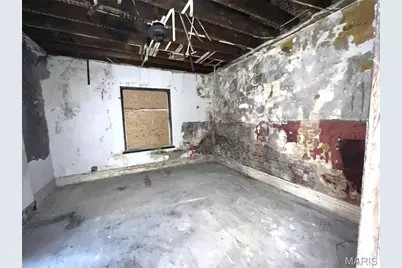 2205 Osage Street, Saint Louis, MO 63118 - Photo 4