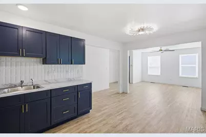 10236 Earl Drive, Saint Louis, MO 63136 - Photo 10