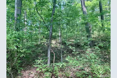 Lots 5-11 Dogwood Lane, Imperial, MO 63052 - Photo 1