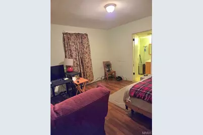 1001 East Street, Leadwood, MO 63653 - Photo 8