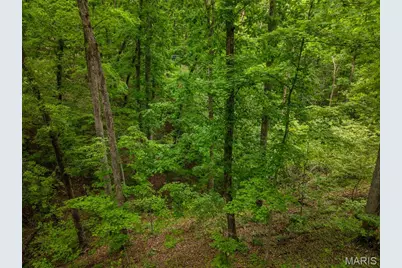 374 W Wanderfern Circle Drive, Innsbrook, MO 63390 - Photo 24