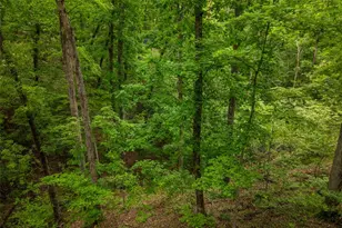 374 W Wanderfern Cir Dr, Innsbrook, MO 63390 - Photo 24