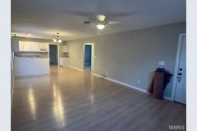 311 Mill Street, Park Hills, MO 63601 - Photo 20
