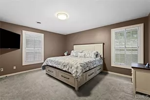 133 Blue Ridge Trce, Festus, MO 63028 - Photo 22
