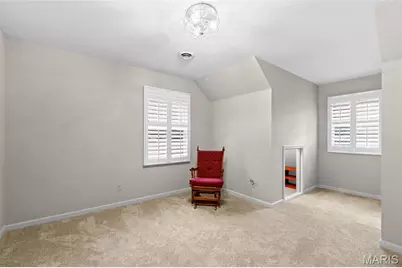 133 Blue Ridge Trace, Festus, MO 63028 - Photo 28