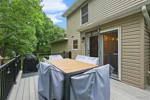 133 Blue Ridge Trce, Festus, MO 63028 - Photo 52
