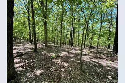 0 Turkey Foot Road, Bourbon, MO 65441 - Photo 14