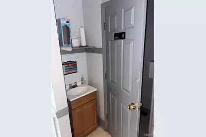 3401 Chippewa Street, Saint Louis, MO 63118 - Photo 26