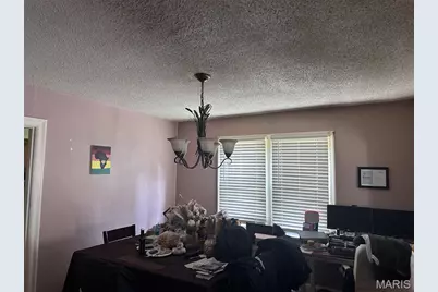 238 Newell Drive, Saint Louis, MO 63135 - Photo 6