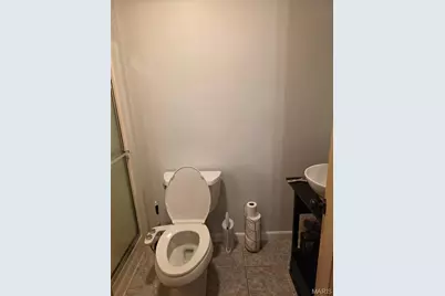 8524 Lake Drive, Cedar Hill, MO 63016 - Photo 14