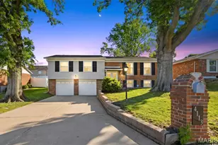 4113 Sunrise Way Dr, Saint Louis, MO 63125 - Photo 2