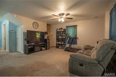 205 County Road 464, Poplar Bluff, MO 63901 - Photo 12