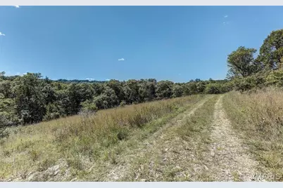 43 Acres +/- Recreational/ Hunting Ground, Dittmer, MO 63023 - Photo 4