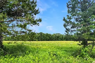 29 Acres Ml Hwy C, New Haven, MO 63068 - Photo 1