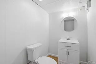 10607 St Michaels Terrace Ct, Saint Ann, MO 63074 - Photo 22