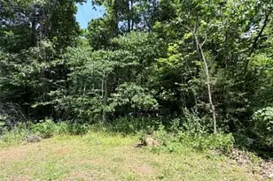 9934 Thurman Oaks Rd, Valles Mines, MO 63087 - Photo 22