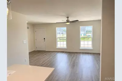 316 Fall Harvest Parkway, Wentzville, MO 63385 - Photo 4