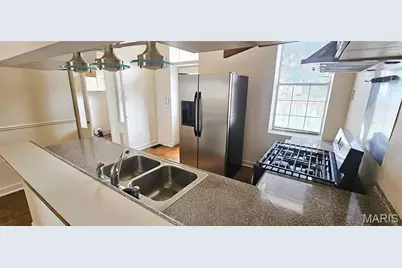 2859 McNair Avenue, Saint Louis, MO 63118 - Photo 10