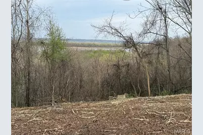 11365 River Hills Road, Festus, MO 63028 - Photo 1
