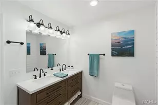 835 Monday Ln, Williamsville, MO 63967 - Photo 26