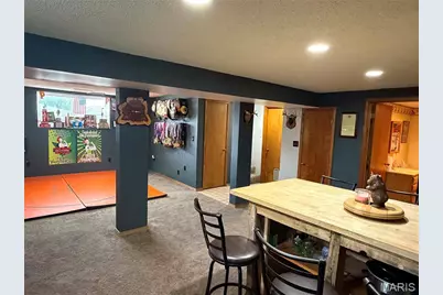 810 Houston Drive, Palmyra, MO 63461 - Photo 38