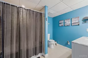 310 Virginia St, Saint Genevieve, MO 63670 - Photo 30