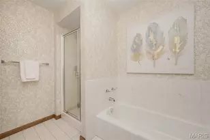 9802 Eagle Hill Ln, Sunset Hills, MO 63127 - Photo 50