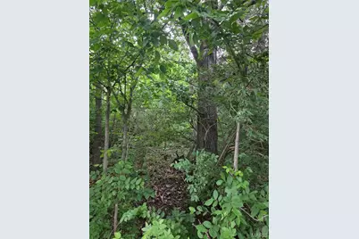 0 W Lakeview Dr, De Soto, MO 63050 - Photo 4