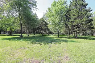 143 Terrace Garden Ln, Farmington, MO 63640 - Photo 70