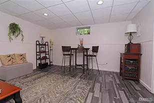 143 Terrace Garden Ln, Farmington, MO 63640 - Photo 38