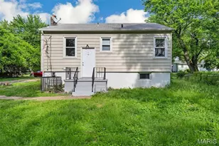 10117 Count Dr, Unincorporated, MO 63136 - Photo 18