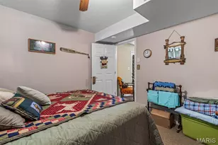 14 Pheasant Dr, Farmington, MO 63640 - Photo 20