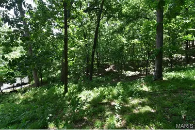 903 Strecker Road, Wildwood, MO 63005 - Photo 54