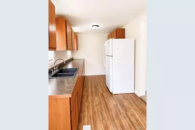 108 W Elm Street, Pilot Knob, MO 63663 - Photo 14