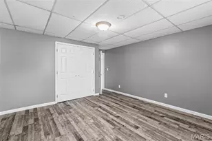 1211 Napoleon Dr, Bonne Terre, MO 63628 - Photo 52