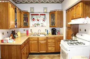 3719 Marine Ave, Saint Louis, MO 63118 - Photo 18