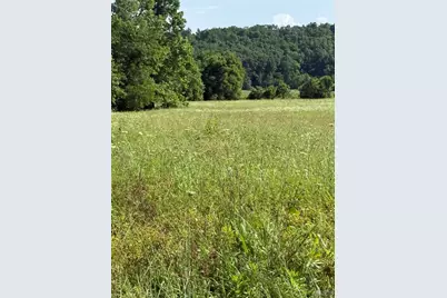 Madison 501 Off Highway 67, Fredericktown, MO 63645 - Photo 10