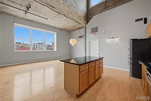 1511 Locust St, Saint Louis, MO 63103 - Photo 28