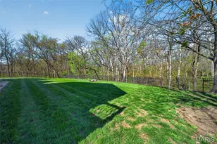 3 Kilimanjaro Ct, O'Fallon, MO 63366 - Photo 54