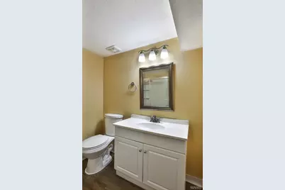 11858 Villa Dorado Drive, Saint Louis, MO 63146 - Photo 32