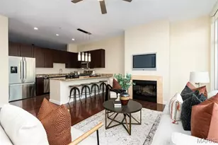 9 N Euclid Ave, Saint Louis, MO 63108 - Photo 6