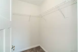 10015 E Carmen Pl, Bonne Terre, MO 63628 - Photo 66