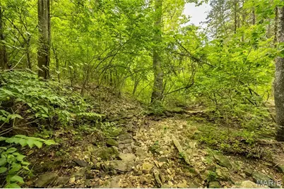 0 Watson Road, Festus, MO 63028 - Photo 8