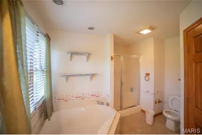1010 Tick Ridge Road, Silex, MO 63377 - Photo 20