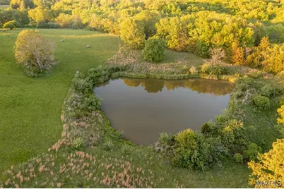 1010 Tick Ridge Road, Silex, MO 63377 - Photo 6