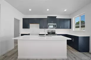7119 Trainor Pl, Saint Louis, MO 63116 - Photo 8