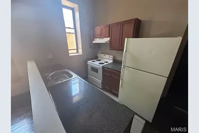 2742 Osage Street, Saint Louis, MO 63118 - Photo 4